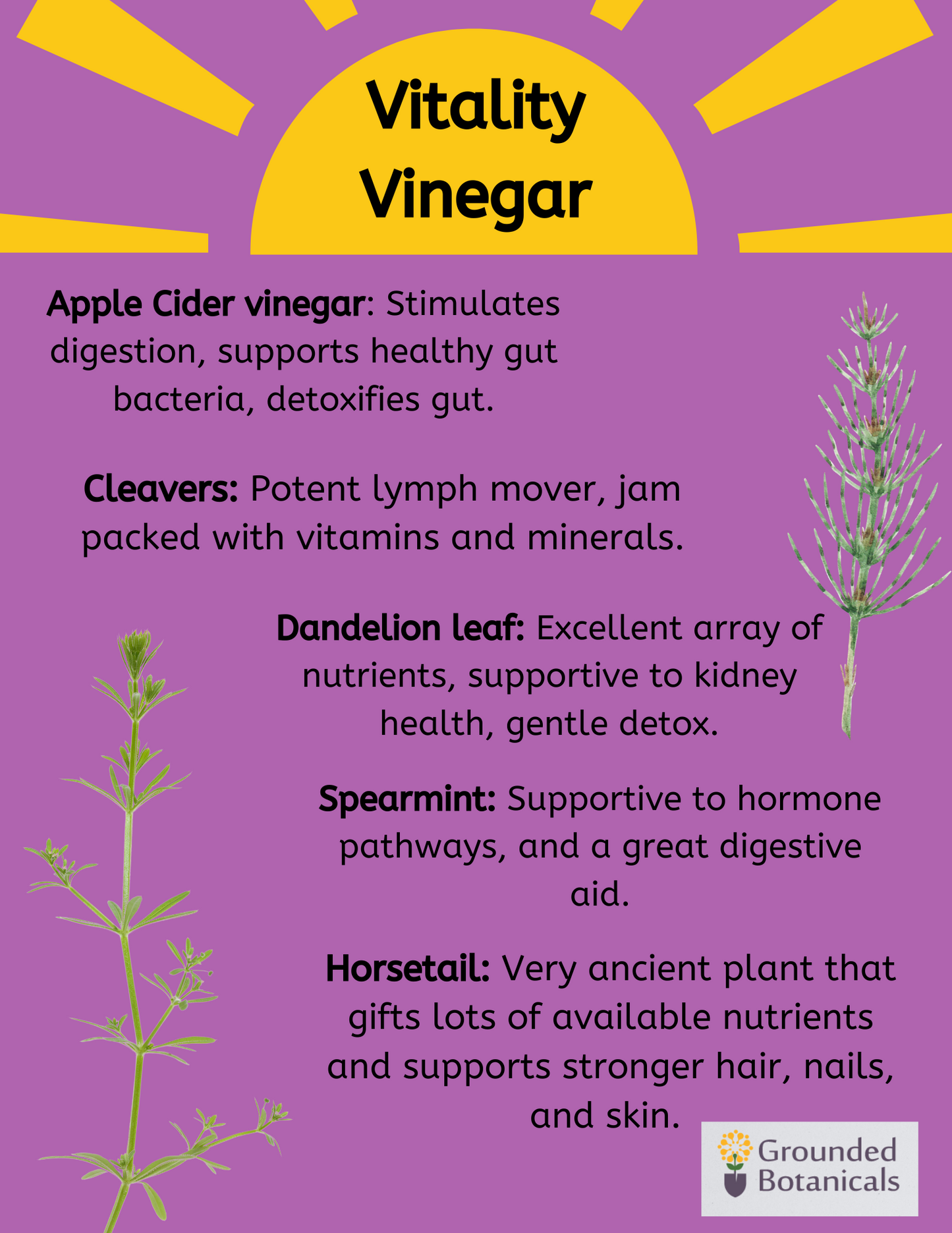 Vitality Vinegar