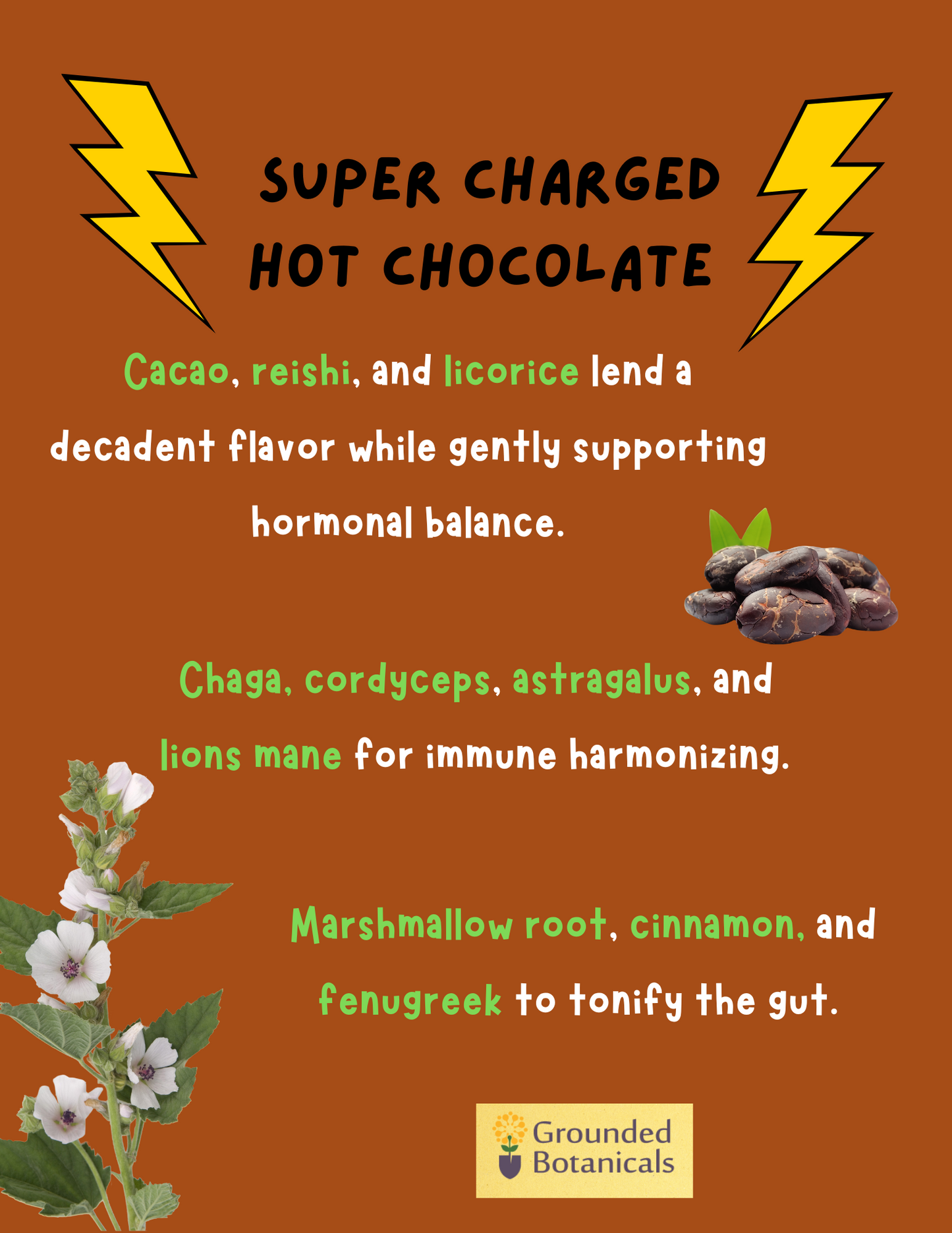 Supercharged Hot Chocolate