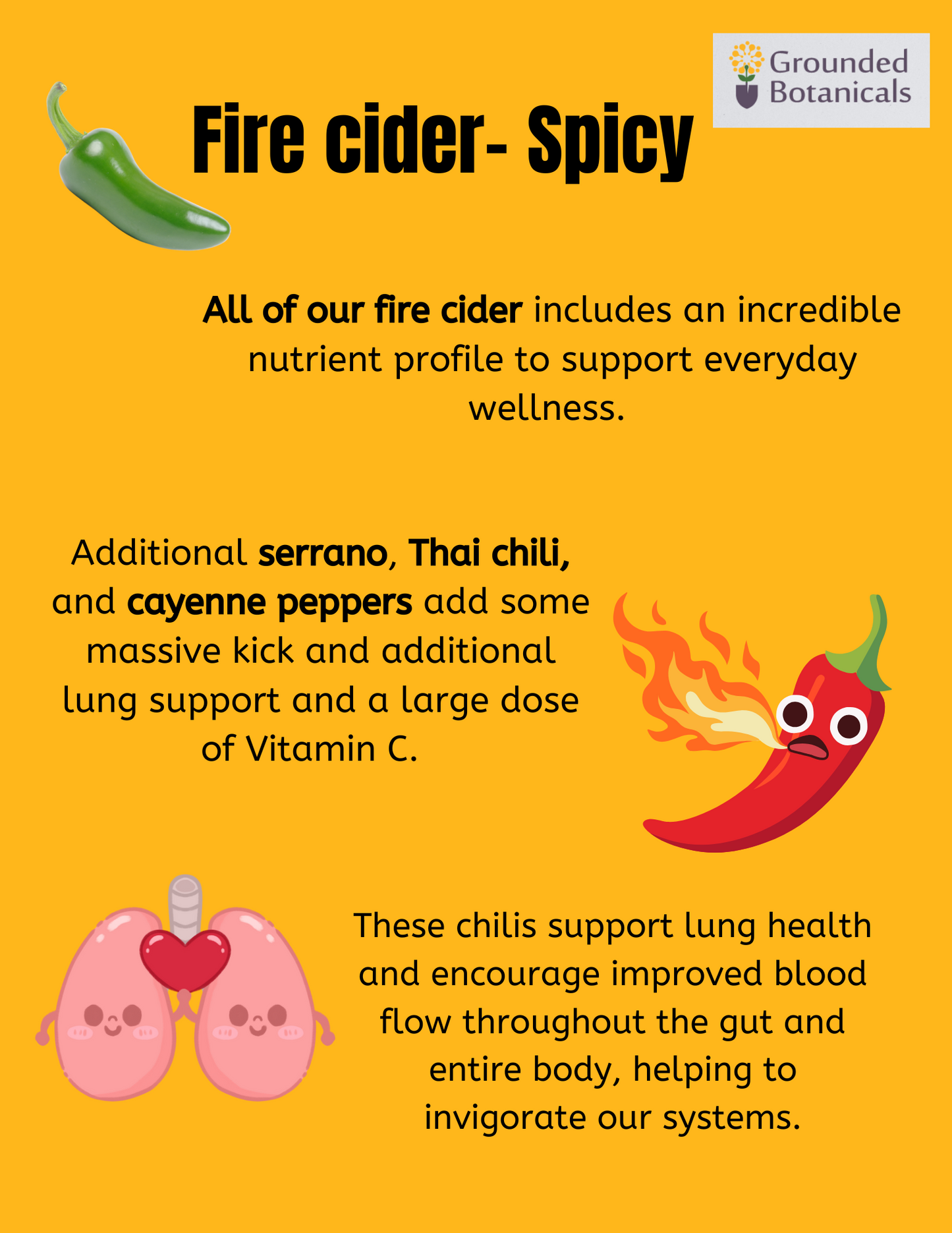 NEW BATCH! Fire Cider Spicy