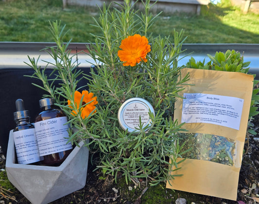 Pain and Inflammation Kit